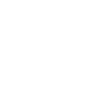 LogoIcon